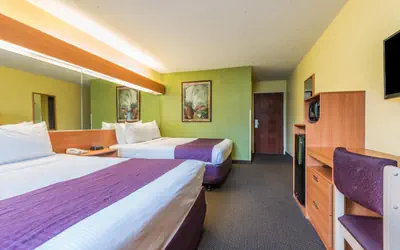 Microtel Inn & Suites by Wyndham Auburn