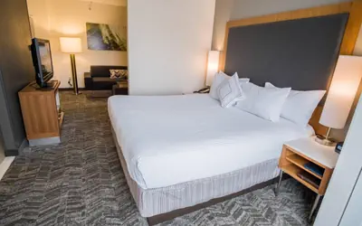 SpringHill Suites by Marriott Winston-Salem Hanes Mall