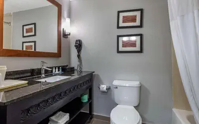 Quality Inn & Suites I-35 E-Walnut Hill