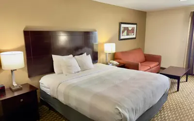 Quality Inn & Suites Pine Bluff