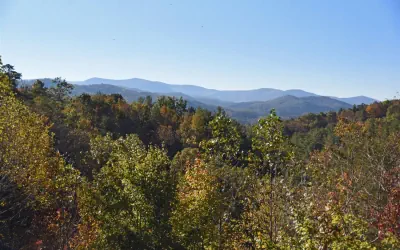 Photo 4 - Dream Catcher- Blue Ridge GA