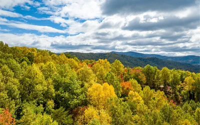 Photo 3 - New Listing! The Laurel Mountain Chalet