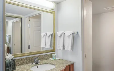 Photo 4 - 1 King Bed 1 Bedroom Suite Nonsmoking