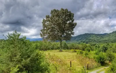 Photo 2 - Eula Mae- Ocoee River Area