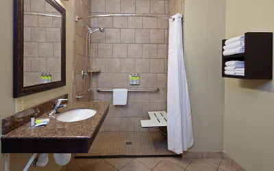 Photo 4 - 1 Bed Accessible Roll In Shwr Nosmk