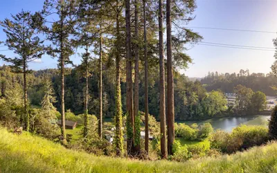 Photo 5 - A - Riverview