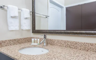 Photo 4 - 2 Bed Hear Mobility Accessible Tub Nosmk