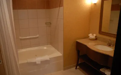 Photo 3 - King Hear Mobility Accessible Tub Nosmk