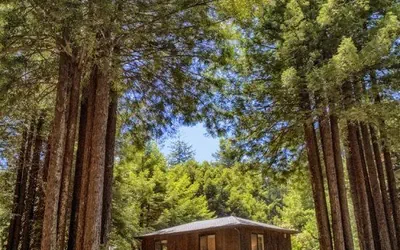 Photo 5 - A - Serenity Grove