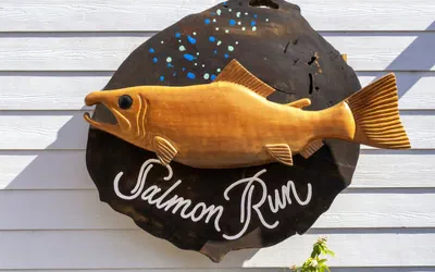 Photo 2 - H - Salmon Run