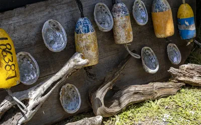 Photo 4 - H - Driftwood