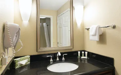 Photo 3 - King Hear Mobility Accessible Tub Nosmk
