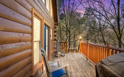 Photo 3 - 1 BR Cabin + Loft
