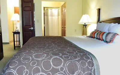 Photo 4 - 1 Bed Hear Mobility Accessible Tub Nosmk