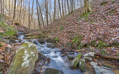 Photo 4 - Streams and Dreams
