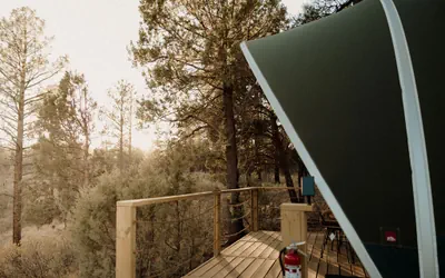 Photo 5 - Nature & Comfort | Manzano Mountain Retreat