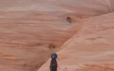 Photo 5 - Perfect for One Couples at Antelope Canyon House