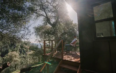 The Ridge-Top Tiny Home: Off-Grid Escape with Pacific Views