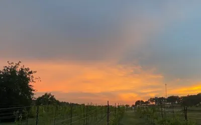 Photo 4 - 12 Fires Winery - Glamping #1