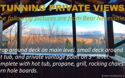 Photo 2 - Bear Necessities