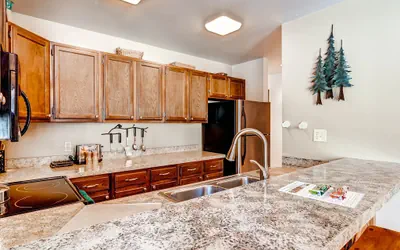 Photo 4 - 1Br Value Condo on Shuttle Route
