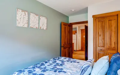 Photo 5 - 1Br Value Condo~Walk to the slopes~Great views