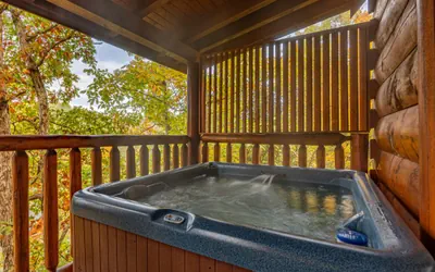 Photo 2 - Deluxe Mountain Cabin in Bear Creek Crossing Resort