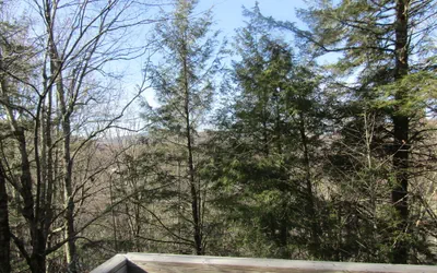 Photo 4 - Briarcliff C_11