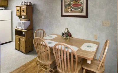 Photo 4 - Little Pigeon River 602 2BD Condo with Private Balcony
