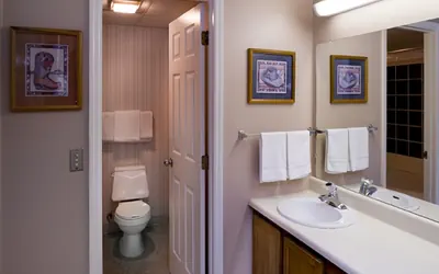 Photo 3 - Little Pigeon River 602 2BD Condo with Private Balcony