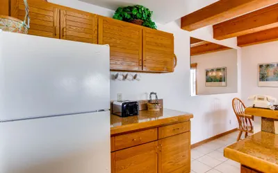 Photo 5 - 2BR with View of Mt. Crested Butte and Ski Lift