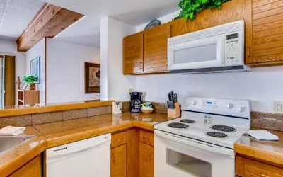 Photo 3 - 2BR with View of Mt. Crested Butte and Ski Lift