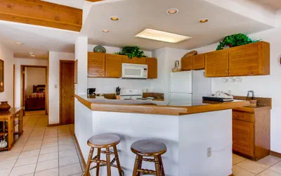 Photo 2 - 2BR with View of Mt. Crested Butte and Ski Lift