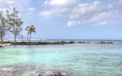 Photo 2 - Mauna Loa Shores 405