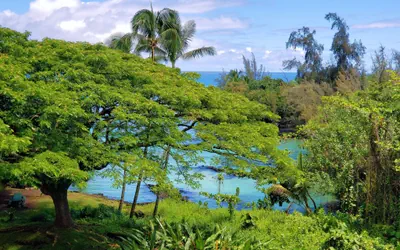 Photo 3 - Mauna Loa Shores 405