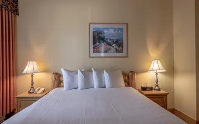 Photo 3 - Cozy Pet-Friendly King Studio in Mt. Crested Butte