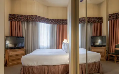 Photo 5 - Cozy Pet-Friendly King Studio in Mt. Crested Butte