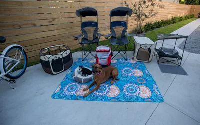 Photo 3 - Pet Friendly Modern Zen Studio Retreat with Hot Tub