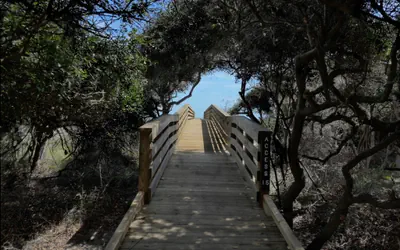 Photo 4 - Almost Heaven