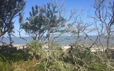 Photo 3 - Villa 504 - Ocean Driftwood