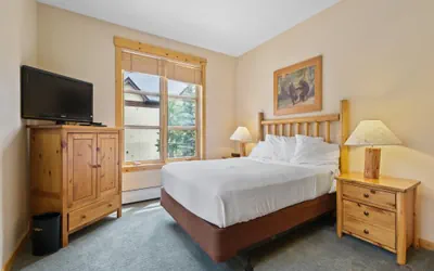 Photo 5 - Tucker Mountain 1 Bedroom Condo #214