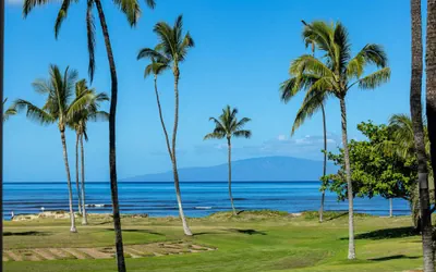 Photo 3 - Maui Sunset B217