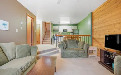 Photo 3 - Swiss Mountain | 1 Bedroom - S3705