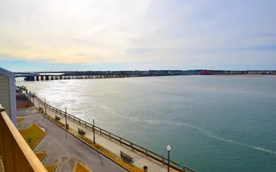 Photo 4 - Crab Cove On The Bay 406