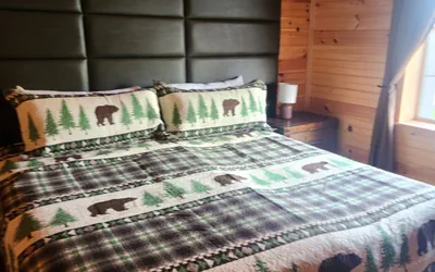 Photo 3 - Pet-Friendly Log Cabin | White Mountains