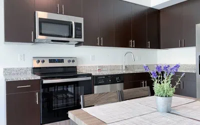Photo 3 - New, spacious and fully equipped 2bed/2bath apart