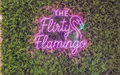 Photo 3 - Flirty Flamingo