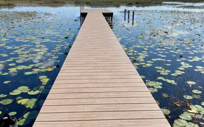Photo 2 - Perfect Pointe Lakehouse