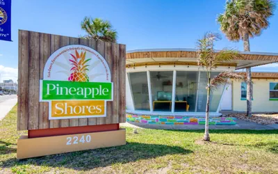 Photo 3 - Pineapple 8