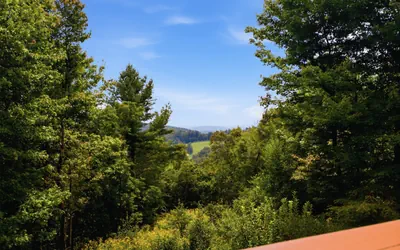 Photo 3 - Fourest Ridge | Long-Range Views, Game Room